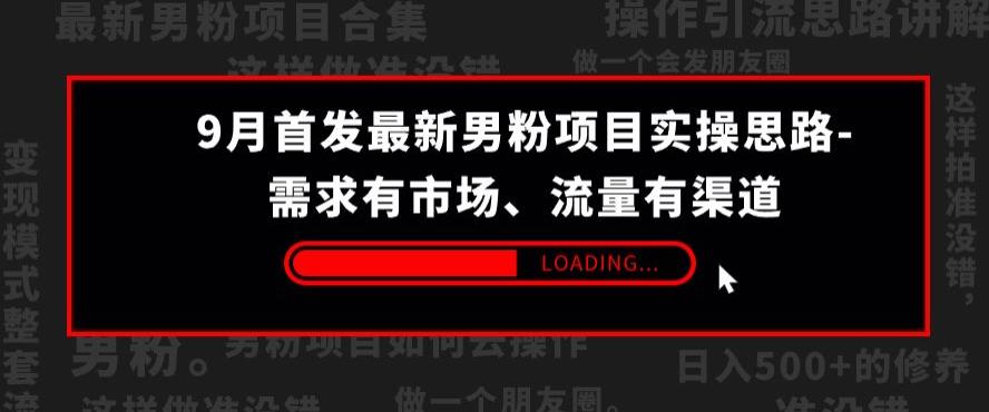 9月首发最新男粉项目实操思路-需求有市场，流量有渠道【揭秘】-成可创学网