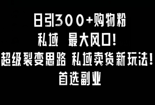 日引300+购物粉，超级裂变思路，私域卖货新玩法，小红书首选副业【揭秘】-成可创学网