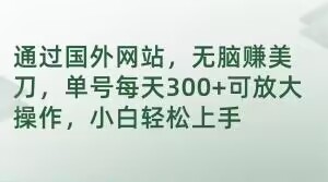 通过国外网站，无脑赚美刀，单号每天300+可放大操作，小白轻松上手【揭秘】-成可创学网