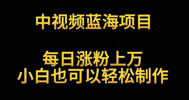 中视频蓝海项目，解读英雄人物生平，每日涨粉上万，小白也可以轻松制作，月入过万不是梦【揭秘】-成可创学网