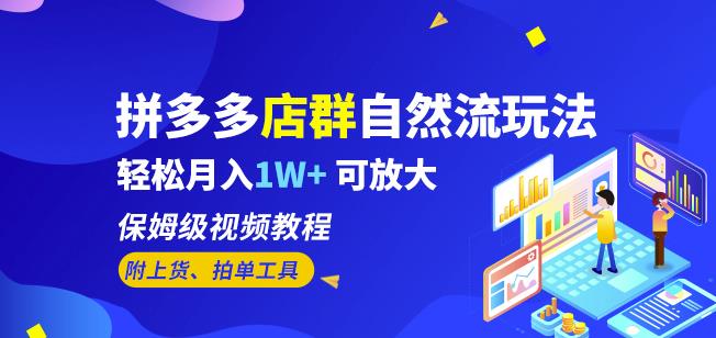 拼多多店群自然流玩法，轻松月入1W+保姆级视频教程（附上货、拍单工具）-成可创学网