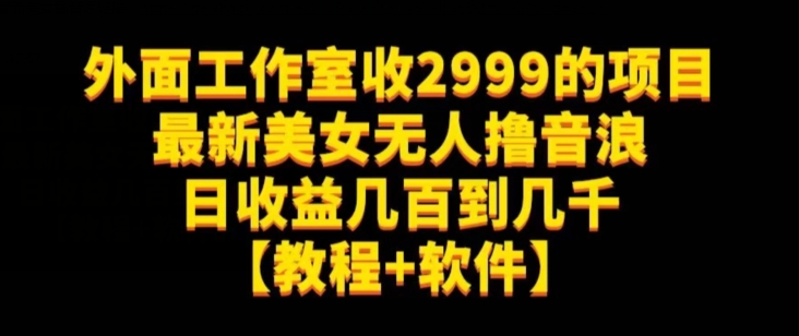 外面工作室收2999的项目最新美女无人撸音浪日收益几百到几千【教程+软件】（仅揭秘）-成可创学网