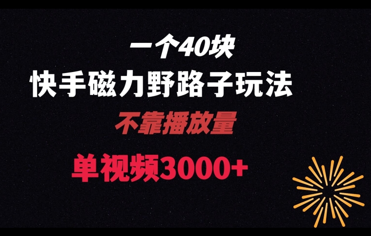 一个40块，快手联合美团磁力新玩法，无视机制野路子玩法，单视频收益4位数【揭秘】-成可创学网