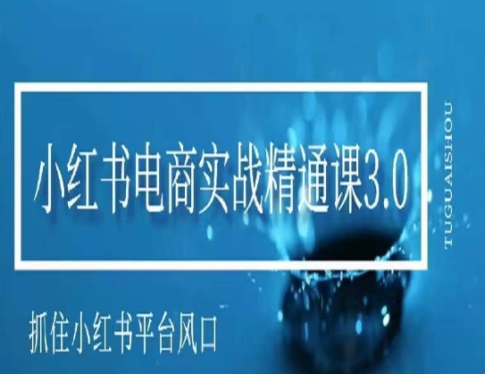 小红书电商实战精通课3.0，抓住小红书平台的风口，不错过有一个赚钱的机会-成可创学网