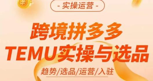 伍跃·跨境拼多多TEMU实操与选品，​趋势/选品/运营/入住（27节完整）-成可创学网