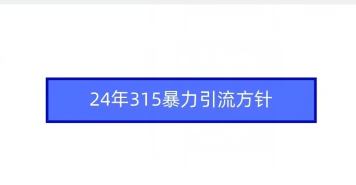 24年315暴力引流方针-成可创学网