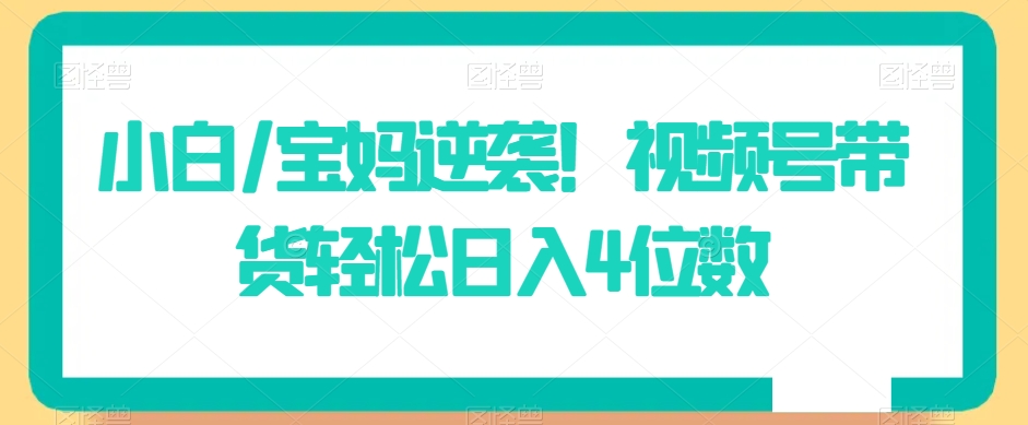 小白/宝妈逆袭！视频号带货轻松日入4位数【揭秘】-成可创学网