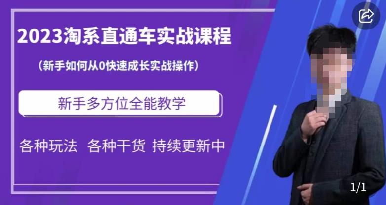 2023淘系直通车保姆式运营讲解，新手如何从0快速成长实战操作，新手多方位全能教学-成可创学网