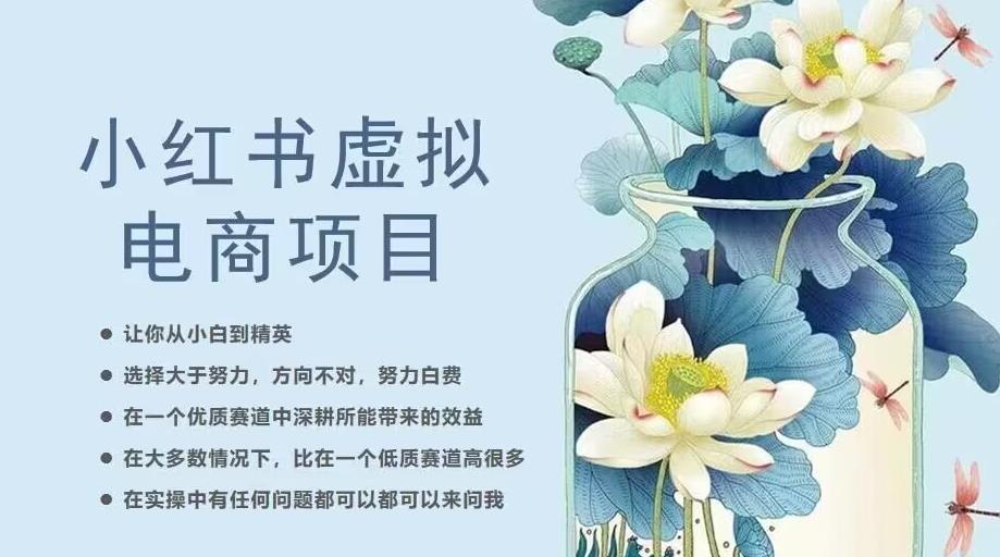 小红书虚拟电商从0到1，让你从小白到精英（20节实操课程）-成可创学网