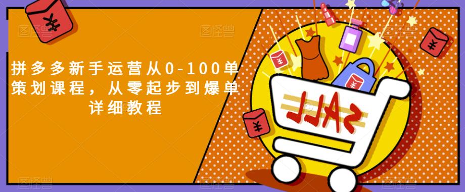 拼多多新手运营从0-100单策划课程，从零起步到爆单详细教程-成可创学网