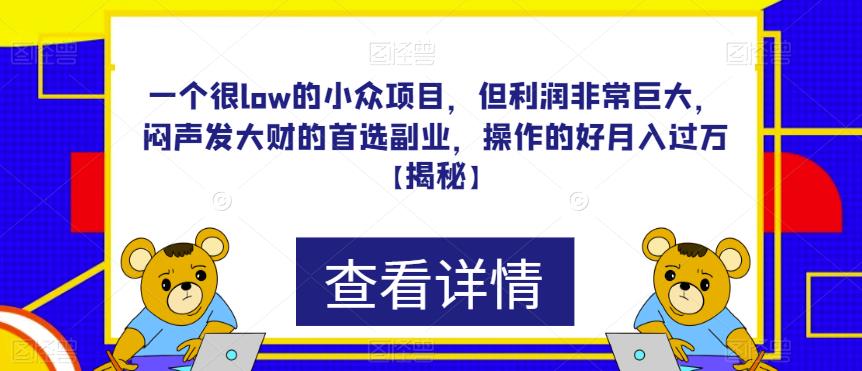 一个很low的小众项目，但利润非常巨大，闷声发大财的首选副业，操作的好月入过万【揭秘】-成可创学网