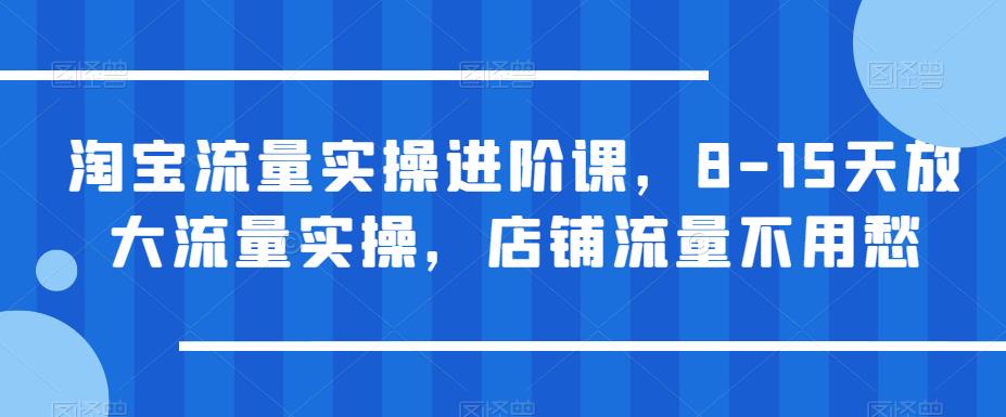 淘宝流量实操进阶课，8-15天放大流量实操，店铺流量不用愁-成可创学网