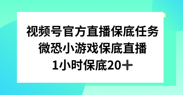 视频号直播任务，微恐小游戏，1小时20+【揭秘】-成可创学网