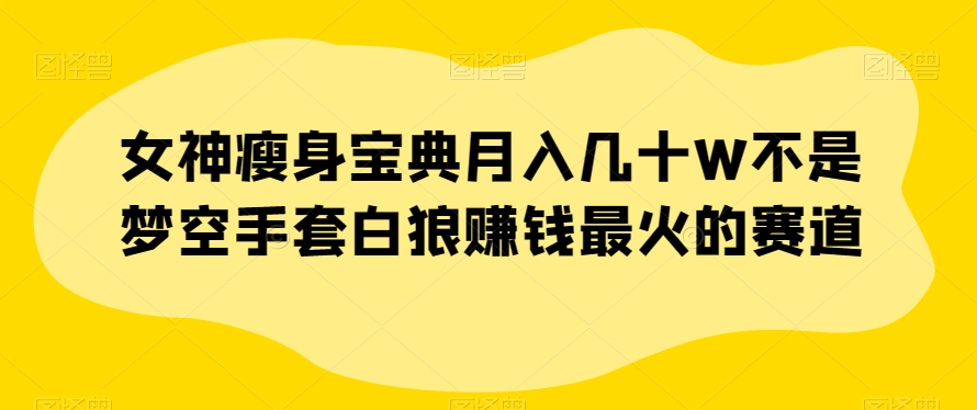 女神瘦身宝典月入几十W不是梦空手套白狼赚钱最火的赛道【揭秘】-成可创学网