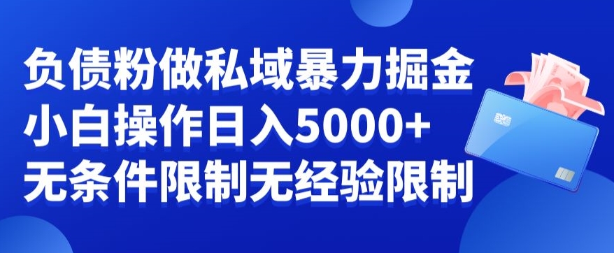 负债粉私域暴力掘金，小白操作入5000，无经验限制，无条件限制【揭秘】-成可创学网