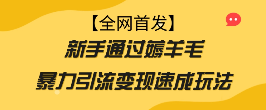 【全网首发】新手通过薅羊毛暴力引流变现速成玩法-成可创学网