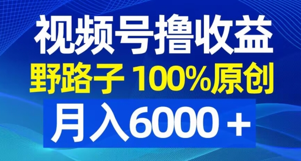 视频号野路子撸收益，100%原创，条条爆款，月入6000＋【揭秘】-成可创学网