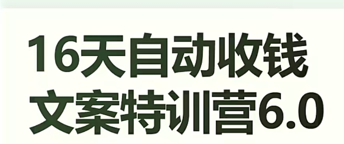 16天自动收钱文案特训营6.0，学会儿每天自动咔咔收钱-成可创学网