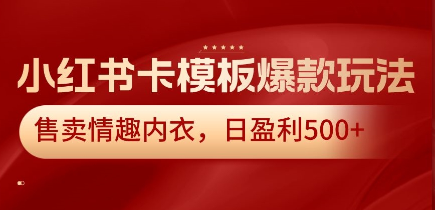 小红书卡模板爆款玩法，售卖情趣内衣，日盈利500+【揭秘】-成可创学网