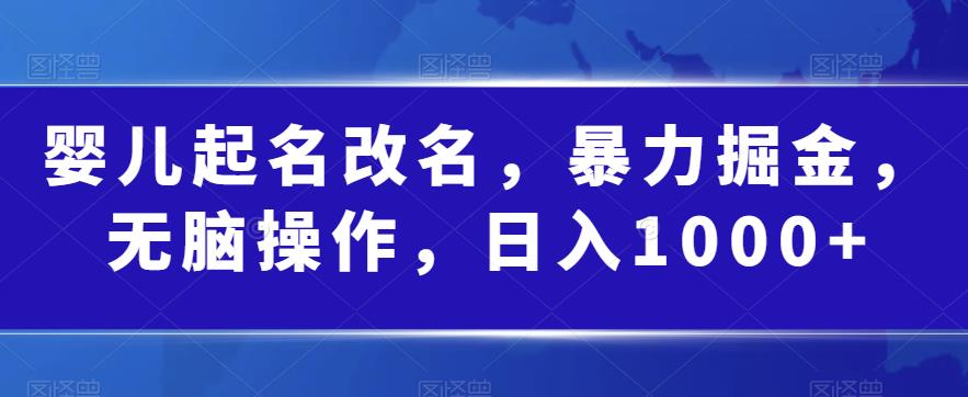 婴儿起名改名，暴力掘金，无脑操作，日入1000+【揭秘】-成可创学网