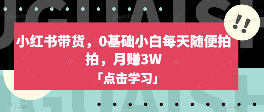 小红书带货，0基础小白每天随便拍拍，月赚3W【揭秘】-成可创学网