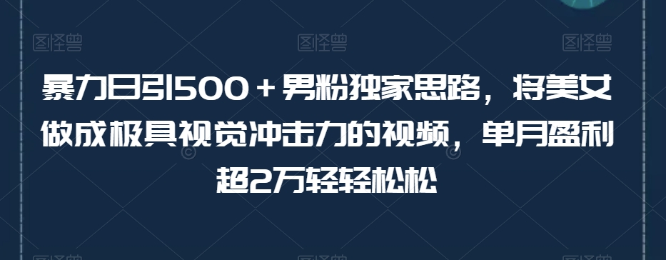 暴力日引500＋男粉独家思路，将美女做成极具视觉冲击力的视频，单月盈利超2万轻轻松松-成可创学网