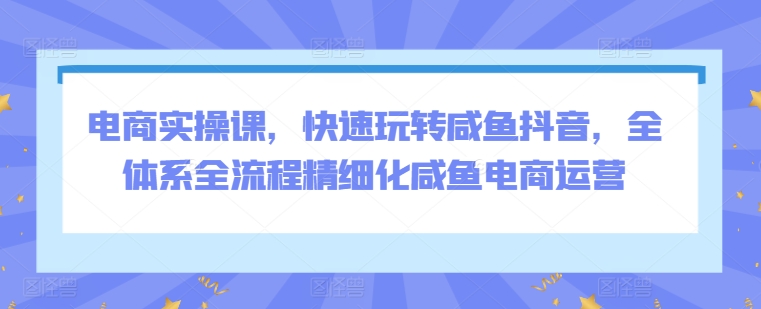 电商实操课，快速玩转咸鱼抖音，全体系全流程精细化咸鱼电商运营-成可创学网