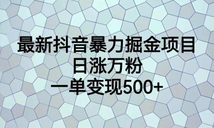 最新抖音暴力掘金项目，日涨万粉，一单变现500+【揭秘】-成可创学网