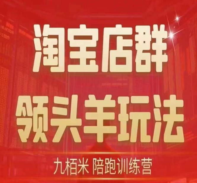 九栢米-淘宝店群领头羊玩法，教你整个淘宝店群领头羊玩法以及精细化/终极蓝海/尾销等内容-成可创学网