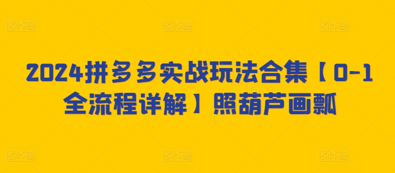 2024拼多多实战玩法合集【0-1全流程详解】照葫芦画瓢-成可创学网