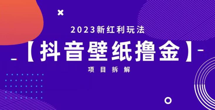 抖音壁纸小程序创作者撸金项目，2023新红利玩法【项目拆解】-成可创学网