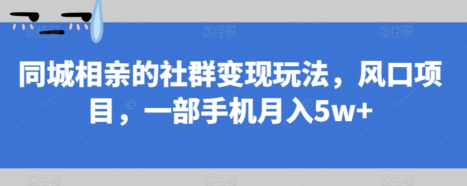 同城相亲的社群变现玩法，风口项目，一部手机月入5w+【揭秘】-成可创学网