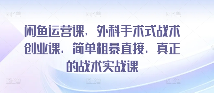 闲鱼运营课，外科手术式战术创业课，简单粗暴直接，真正的战术实战课-成可创学网