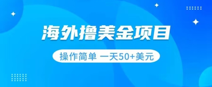 撸美金项目无门槛操作简单小白一天50+美刀-成可创学网