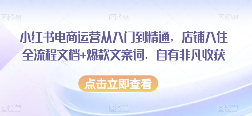 小红书电商运营从入门到精通，店铺入住全流程文档+爆款文案词，自有非凡收获-成可创学网