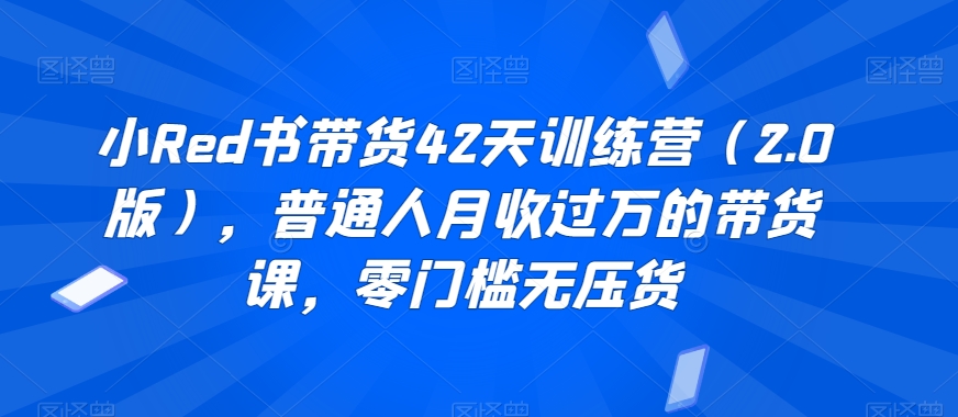 小Red书带货42天训练营（2.0版），普通人月收过万的带货课，零门槛无压货-成可创学网