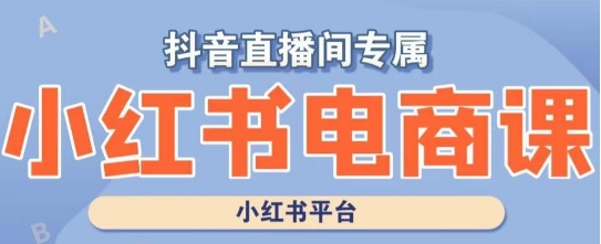 小红书电商高级运营课程，实操教学+案例分析-成可创学网