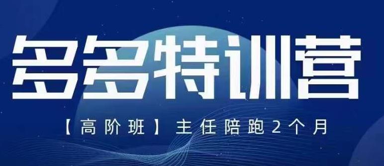 纪主任·5月最新多多特训营高阶班，玩法落地实操，多多全掌握-成可创学网