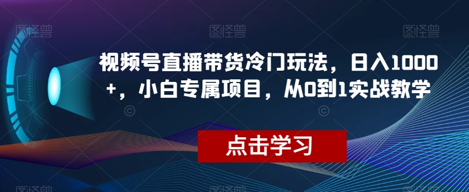 视频号直播带货冷门玩法，日入1000+，小白专属项目，从0到1实战教学【揭秘】-成可创学网