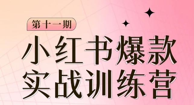 小红书博主爆款训练营第11期，手把手教你从0-1做小红书，从定位到起号到变现-成可创学网