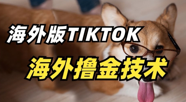 抖音海外版tiktok撸金技术，这个风口行业，赚钱真的不难【揭秘】-成可创学网