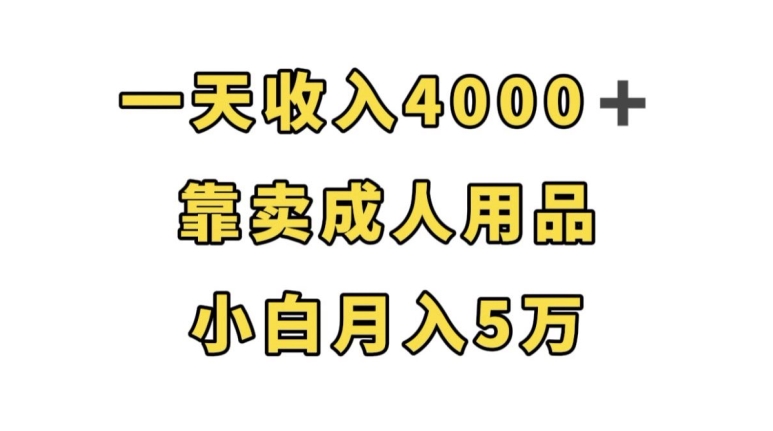 一天收入4000+，靠卖成人用品，小白轻松月入5万【揭秘】-成可创学网