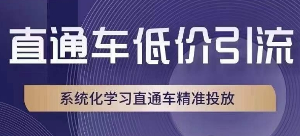 直通车低价引流课，系统化学习直通车精准投放-成可创学网