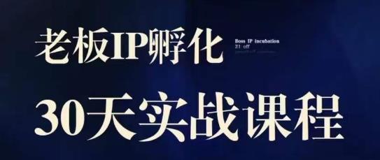 诸葛·2023老板IP实战课，实体同城引流获客，IP孵化必听-成可创学网