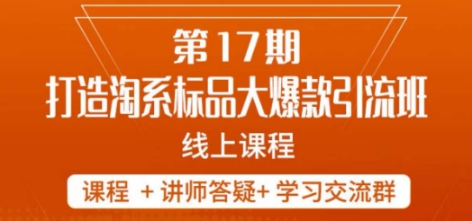 南掌柜-第17期打造淘系标品大爆款，5天线上课-成可创学网