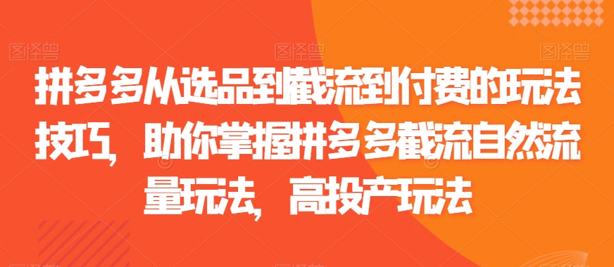 拼多多从选品到截流到付费的玩法技巧，助你掌握拼多多截流自然流量玩法，高投产玩法-成可创学网