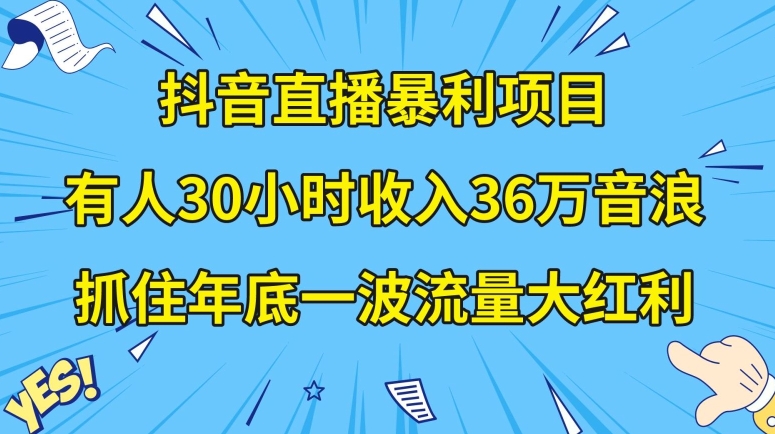 抖音直播暴利项目，有人30小时收入36万音浪，公司宣传片年会视频制作，抓住年底一波流量大红利【揭秘】-成可创学网