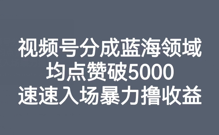 视频号分成蓝海领域，均点赞破5000，速速入场暴力撸收益-成可创学网