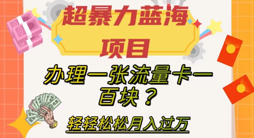 超暴力蓝海项目，办理一张流量卡一百块？轻轻松松月入过万，保姆级教程【揭秘】-成可创学网