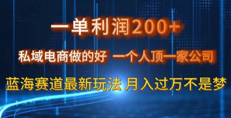 一单利润200私域电商做的好，一个人顶一家公司蓝海赛道最新玩法【揭秘】-成可创学网